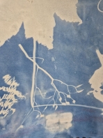 IMAGE 2024-11-24 18_41_45.jpg